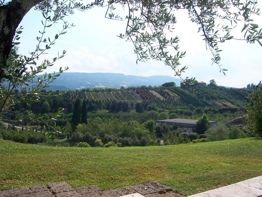 Hotel Villa Il Patriarca Chiusi Bekvemmeligheder billede